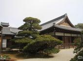 日本金阁寺旅游攻略 之 陆舟之松