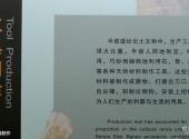 西安半坡博物馆旅游攻略 之 工具制作