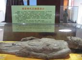 淮安镇淮楼旅游攻略 之 展览厅