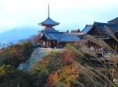 日本清水寺旅游攻略 之 正殿