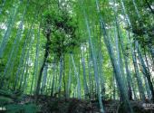 宜宾长宁佛来山旅游攻略 之 幽谷