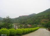雁南飞茶田度假村旅游攻略 之 雁南飞大道