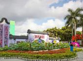 深圳洪湖公园旅游攻略 之 荷花展