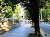 广州沙面大街旅游攻略 之 街景