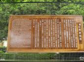 三亚南山文化旅游区旅游攻略 之 长寿廊