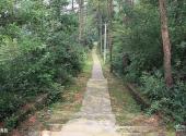 宜都宋山森林公园旅游攻略 之 松涛苑