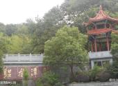 象山鲤龙潭森林公园旅游攻略 之 鲤龙潭森林公园