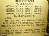 铜仁松桃苗王城旅游攻略 之 苗王约法