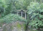 安庆大龙山景区旅游攻略 之 灵山石树