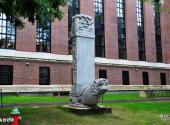 美国哈佛大学校园风光 之 龟兽驮碑