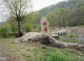 辽宁金山石佛风景区旅游攻略 之 福寿神龟