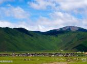 云南香格里拉旅游攻略 之 伊拉草原风情园