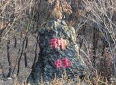 牡丹峰国家级自然保护区旅游攻略 之 神蛙