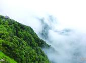 广西大明山国家级自然保护区旅游攻略 之 飞鹰峰