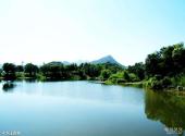 临安青山湖旅游攻略 之 水上森林