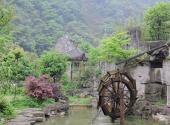 遵义大板水国家森林公园旅游攻略 之 风景