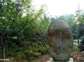 南昌梅岭风景区旅游攻略 之 中日友谊林