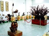 吉林市博物馆旅游攻略 之 松花湖浪木艺术展