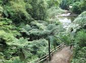 宜宾七洞沟旅游景区旅游攻略 之 桫椤沟