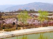 天水秦安凤山景区旅游攻略 之 凤山森林公园