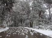 常德嘉山风景区旅游攻略 之 雪景