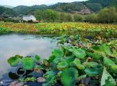 福建培田古村旅游攻略 之 池塘