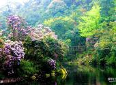 广西大明山国家级自然保护区旅游攻略 之 龙湖