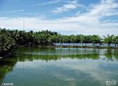 海口南丽湖风景区旅游攻略 之 胶林环抱