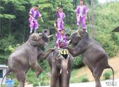 贵阳森林野生动物园旅游攻略 之 动物表演场