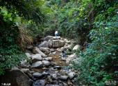 梧桐山风景区旅游攻略 之 泰山涧
