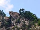 宝鸡太白青峰峡森林公园旅游攻略 之 金蟾望日