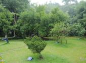 广安邓小平故里旅游攻略 之 六棵树