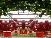 寿光蔬菜高科技示范园旅游攻略 之 蔬菜景观