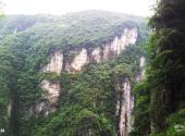 张家界大峽谷旅游攻略 之 森林