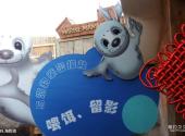 青岛水族馆旅游攻略 之 海豹池