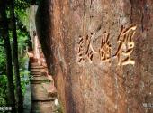 赤水大瀑布旅游攻略 之 转石奇观