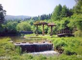 伊春锦绣山水公园旅游攻略 之 兴安森林公园