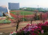 华南农业大学校园风光 之 东区运动场