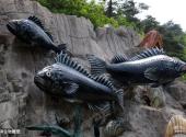 大连海之韵公园旅游攻略 之 海洋生物雕塑