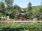 丹东锦江山公园旅游攻略 之 荷花池
