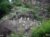 丽水千丝岩旅游攻略 之 罗汉壁