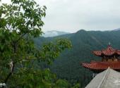 青海峡群寺森林公园旅游攻略 之 峡群林场
