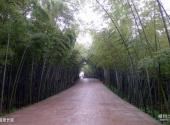 蜀南竹海风景名胜区旅游攻略 之 翡翠长廊