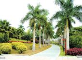广州珠江公园旅游攻略 之 风景林区