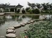 博鳌东方文化苑旅游攻略 之 莲花池
