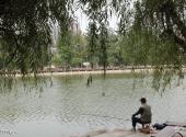 大连植物园旅游攻略 之 垂钓的老人