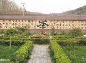 沂水蒙山龙雾茶博园旅游攻略 之 茶博园风情岛