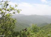 三门峡甘山国家森林公园旅游攻略 之 甘山文化区
