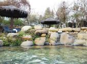 连城天一温泉旅游区旅游攻略 之 温泉