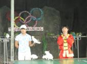 海南热带飞禽世界旅游攻略 之 飞禽王国运动会